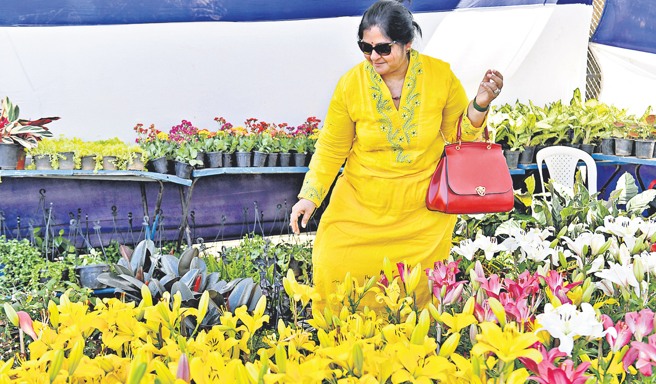 People’s Plaza in Hyderabad comes to life with 13th edition of Grand Nursey Mela