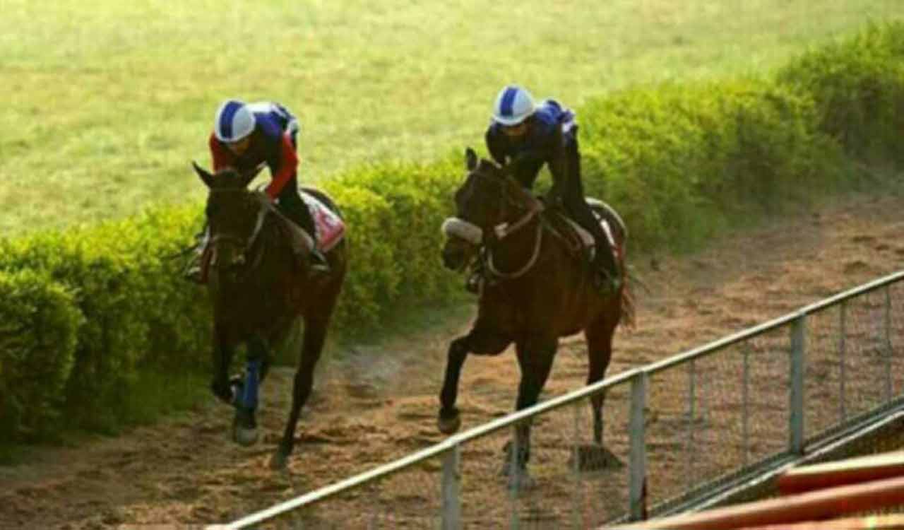 Horse Racing: NRI Sport and NRI Skylab shine in trials