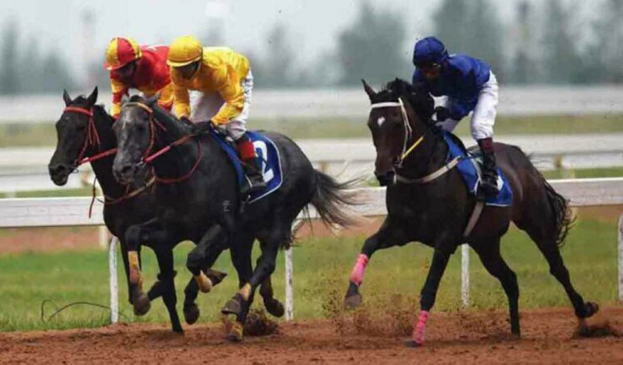 Horse Racing: Salento wins Wolf 777 Golconda Derby Stakes