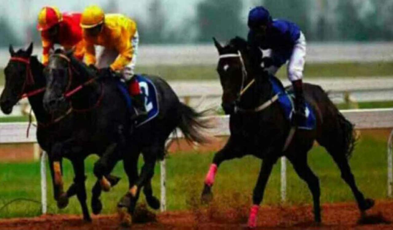 Horse Racing: Strauss, Pleroma, Amyra, Only The Brave shine in trials