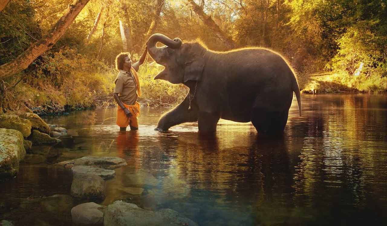 Netflix’s documentary ‘The Elephant Whisperers’ gets nominated for Oscars