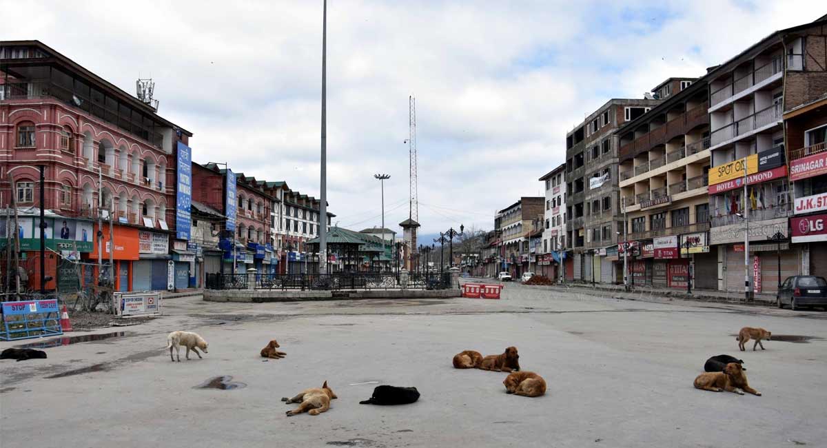 Twitter divided over stray dog incident in Hyderabad