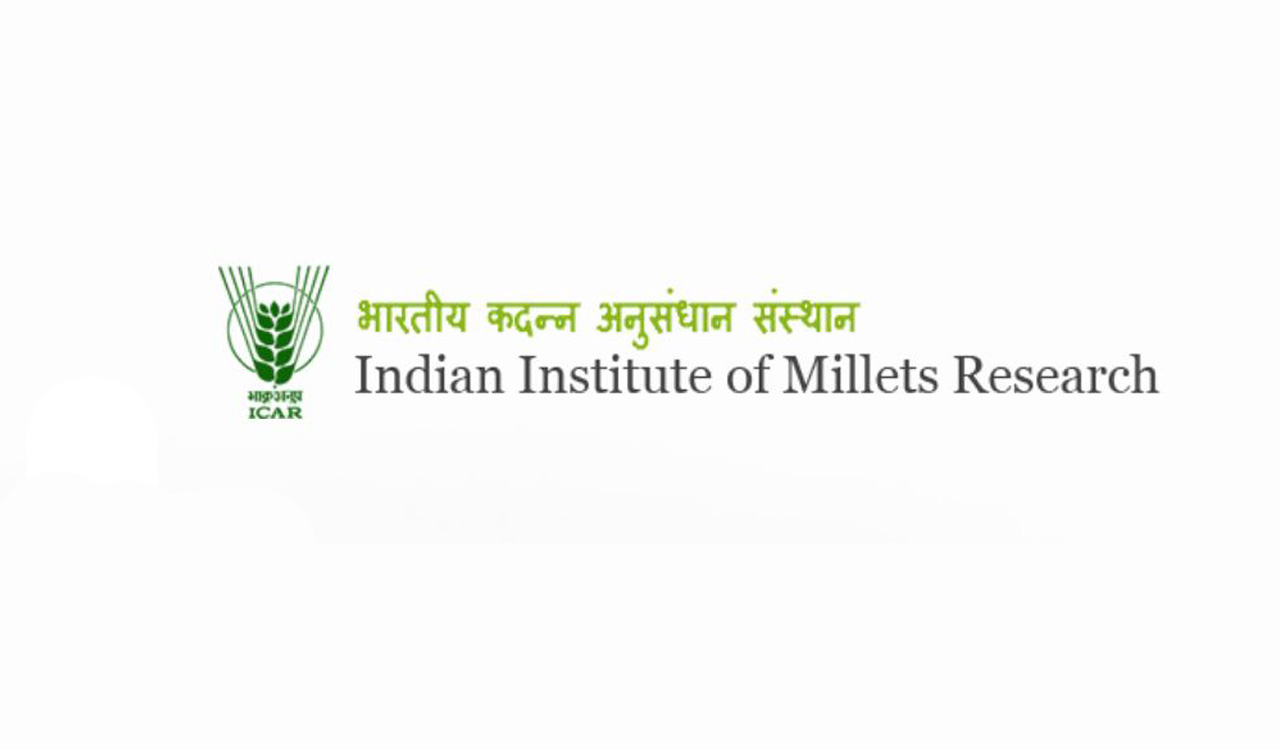 Budget 2023: Centre to support Hyderabad-based millet institute as centre of excellence
