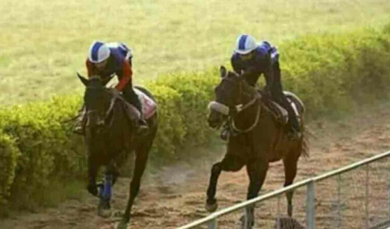 Horse Racing: Touch Of Grey fancied for Chennai feature