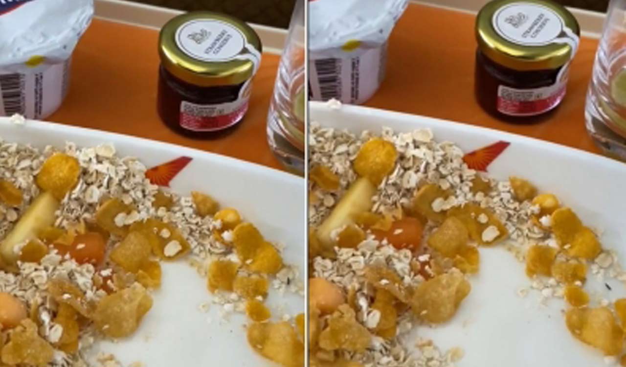 Air India business class passenger shares video of insect in flight meal