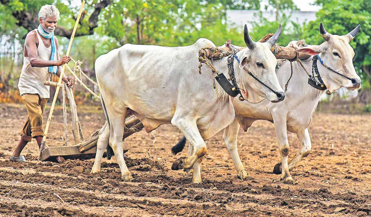 Rewind: Too taxing an idea  