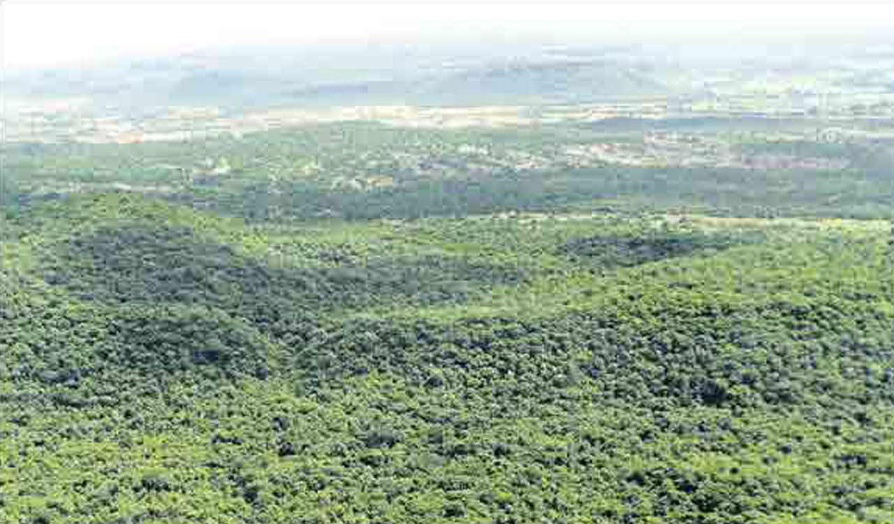Forest carbon stock in Telangana increased by 6.68 per cent