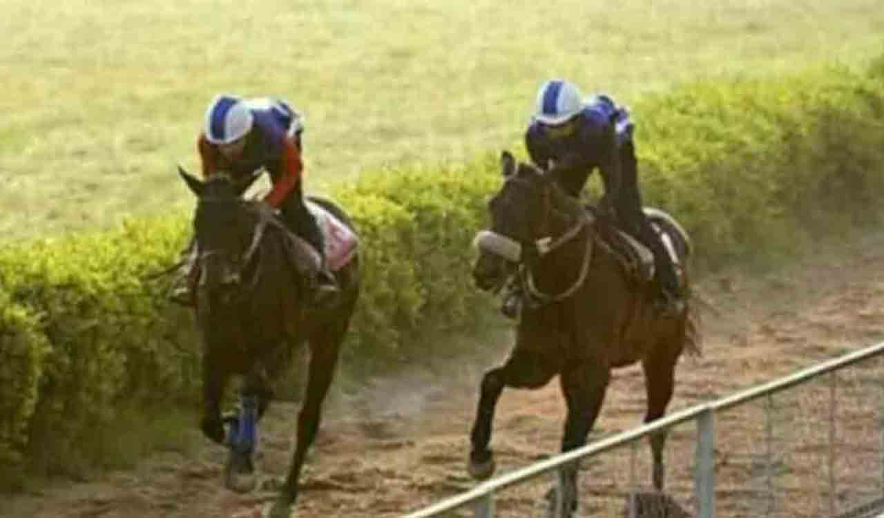 Horse Racing: Miss Little Angel wins feature event