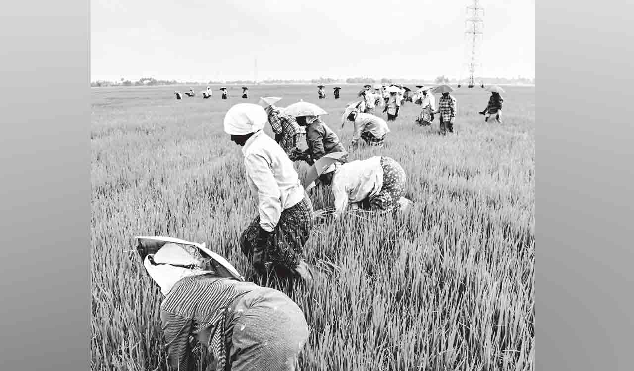 Opinion: An unfair, unjustified cut