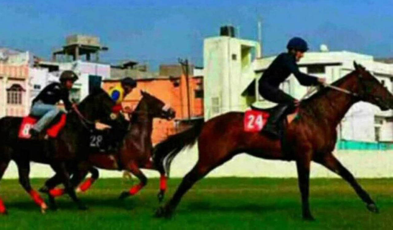 Horse Racing: Meropi has the edge in Kolkata feature