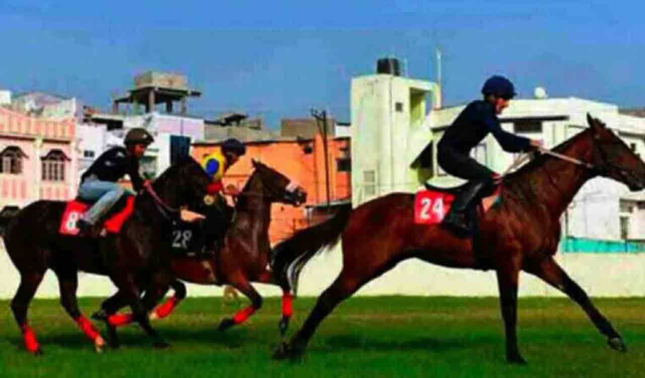 Horse Racing: D Yes Boss, NRI Sun shine in trials