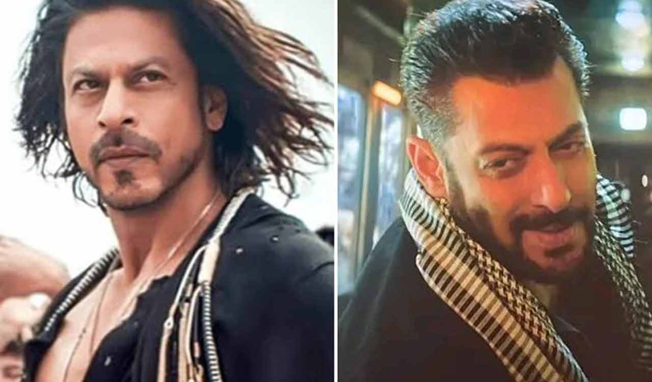 SRK, Salman to square off in Tiger v/s Pathaan film
