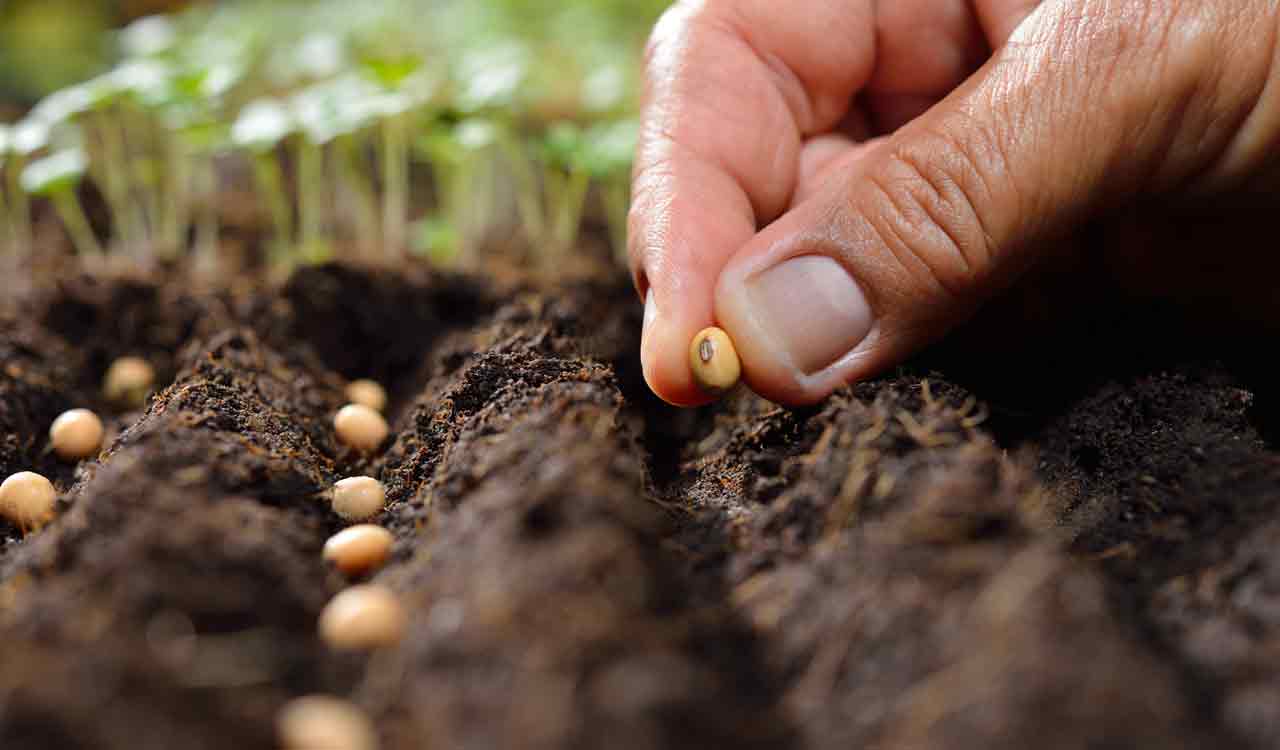 Telangana in focus as seed hub at ISTA meet held at Washington