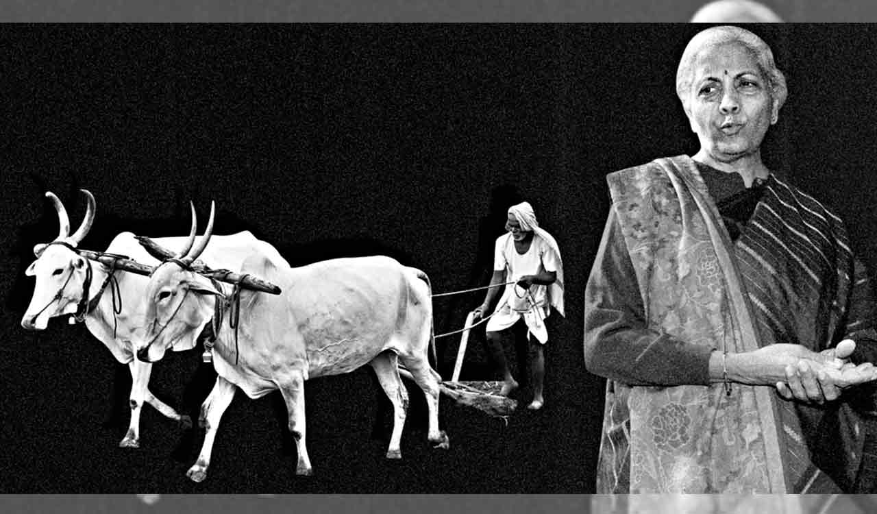 Opinion: Little hope for farmers