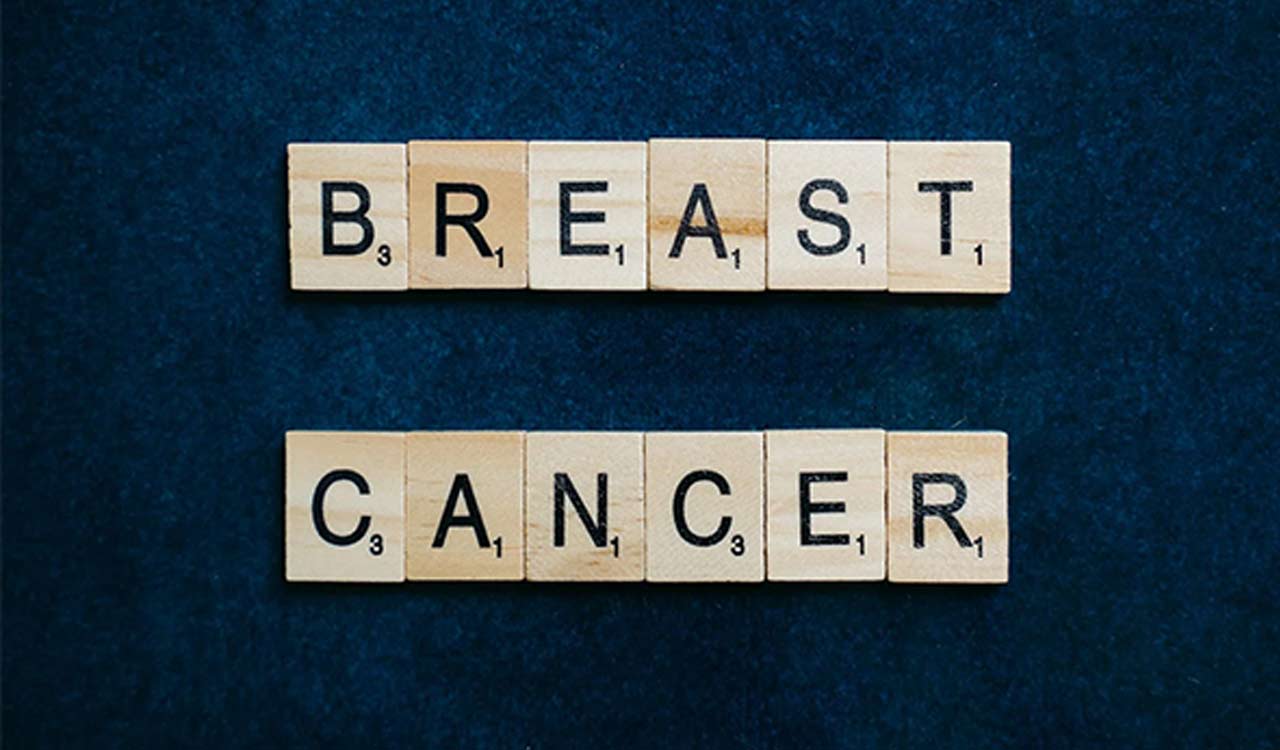 Study reveals how breast MRI is effective at detecting cancer