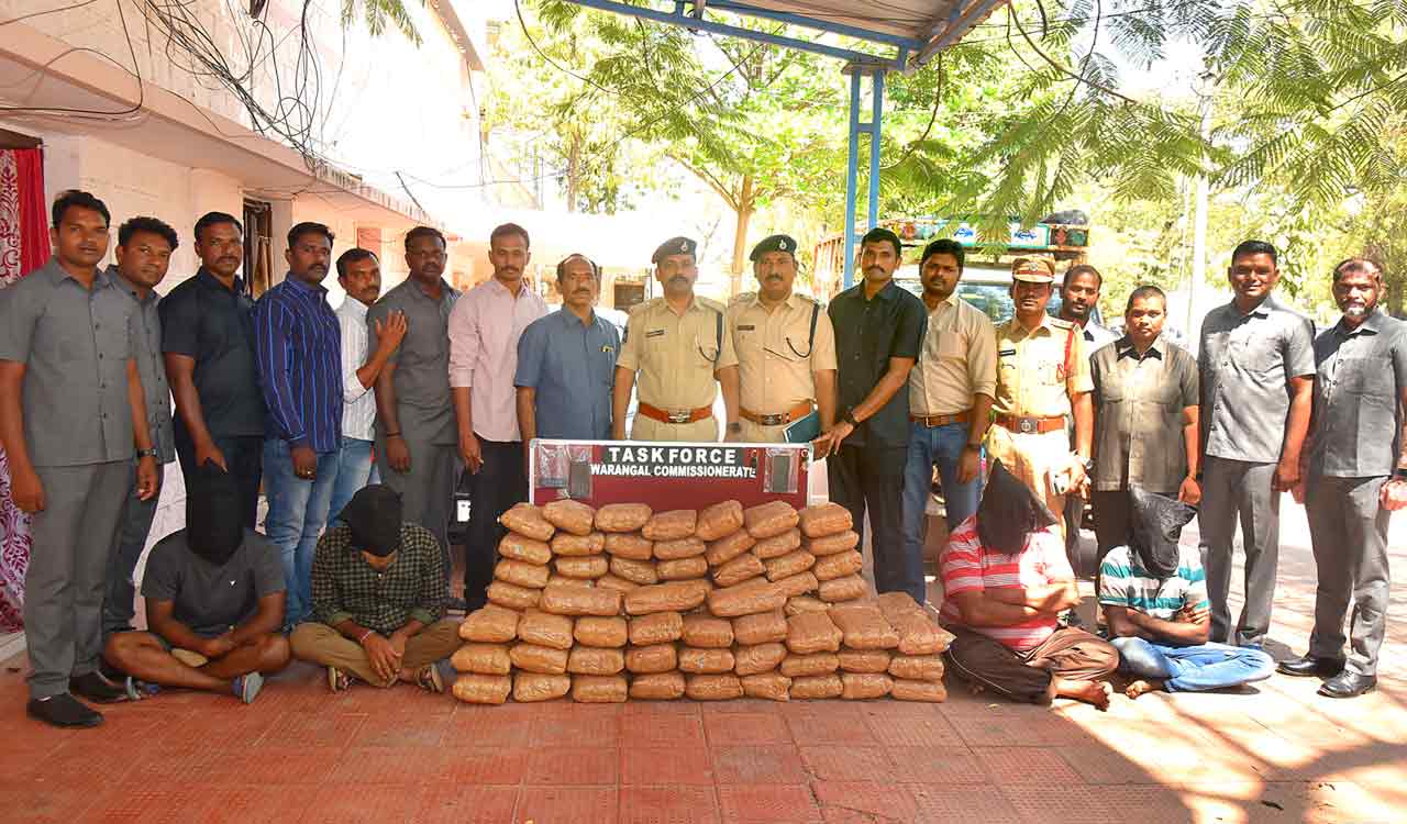 Warangal: Four held for smuggling ganja hidden among tender coconuts