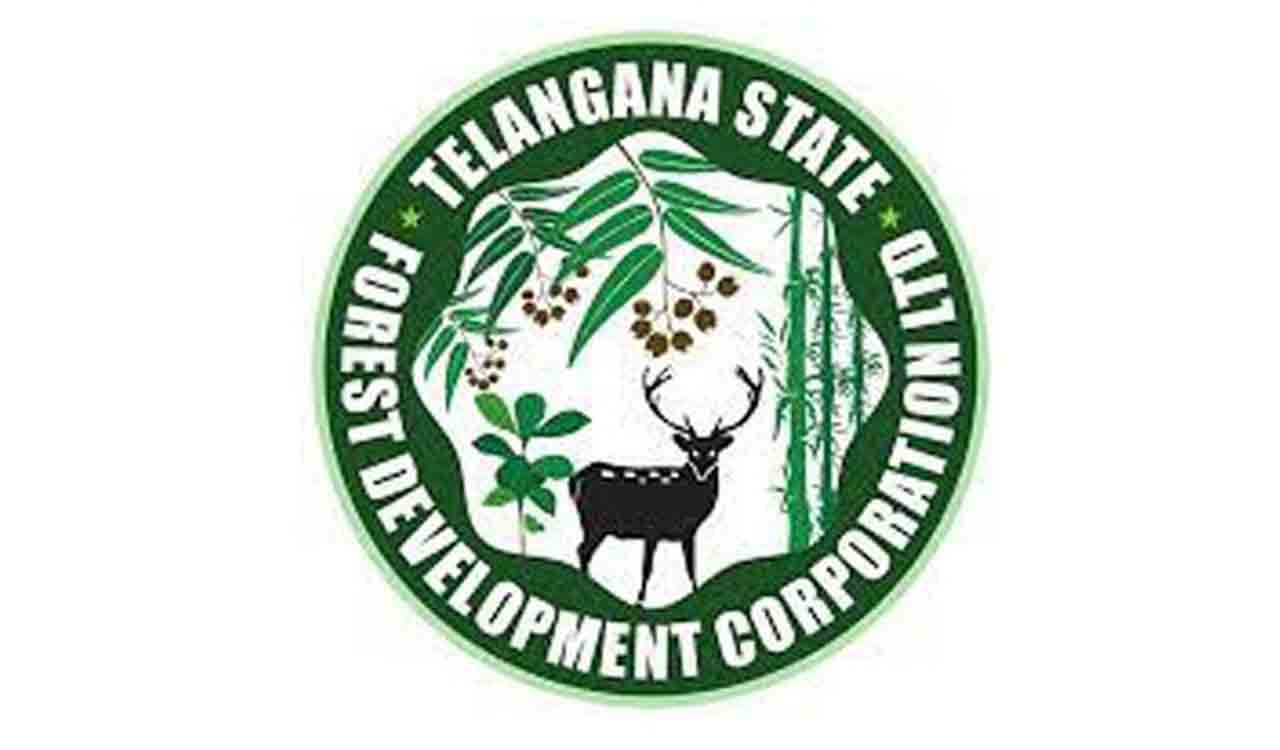 TSFDC bags Forest Stewardship Council approval to use its logo