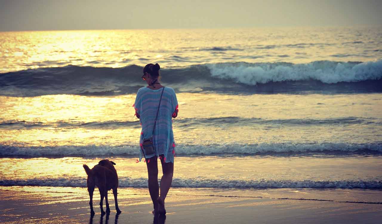 Here are several beautiful beaches you may explore from Varkala to Alibaug