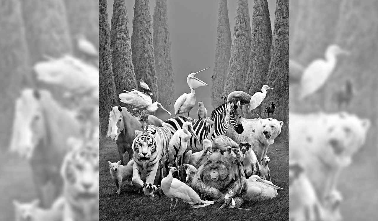 Opinion: The arts of decline