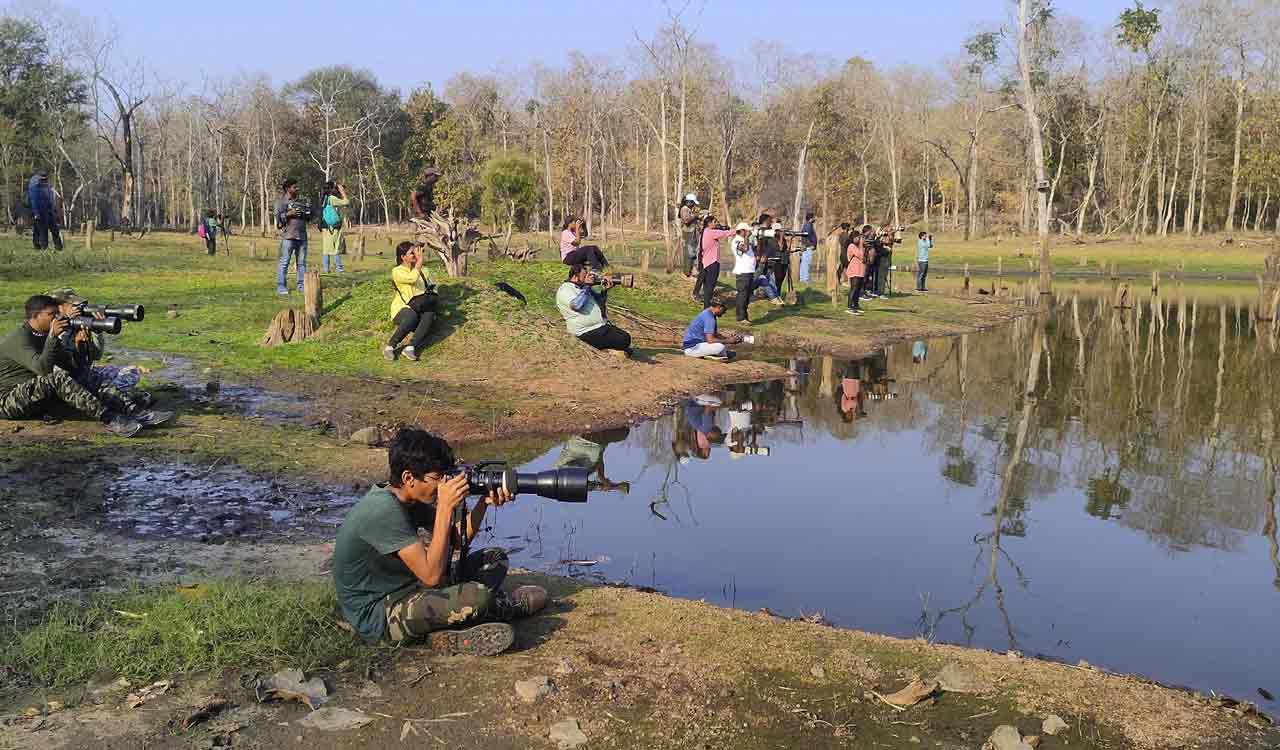Mancherial: Third edition of bird walk concludes in Kawal Tiger Reserve