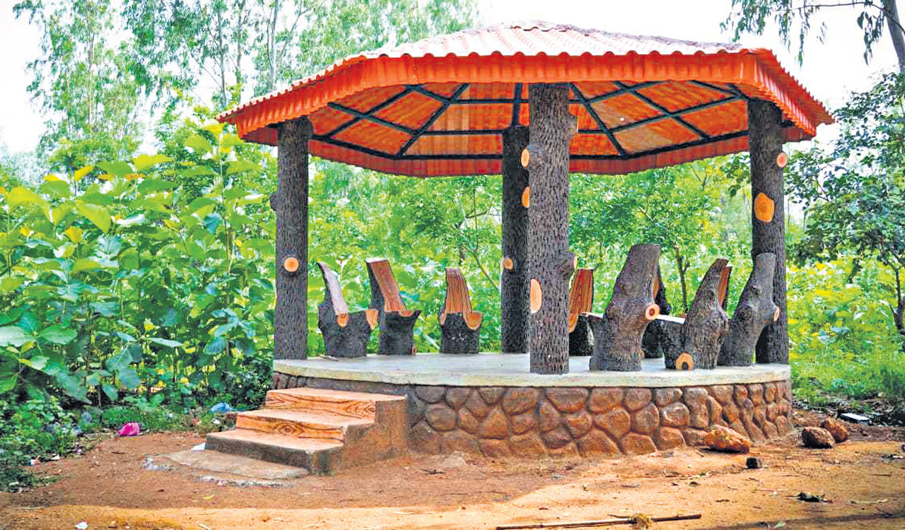 Two urban forest parks to open soon in Hyderabad