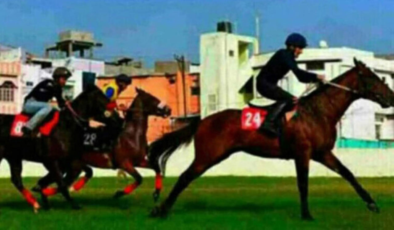 Horse Racing: Queenstown fancied for Chennai feature