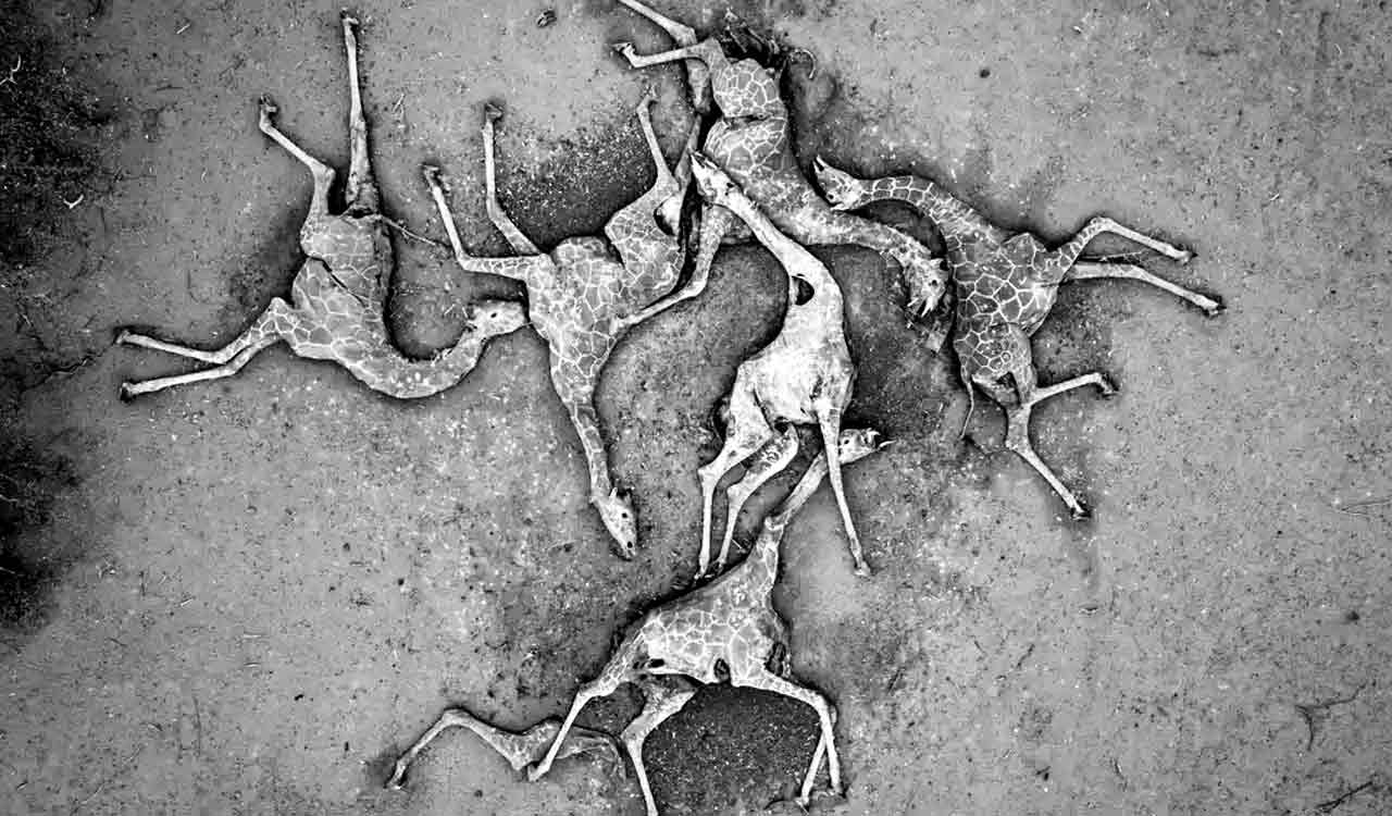 Opinion: End Verse, End-Times