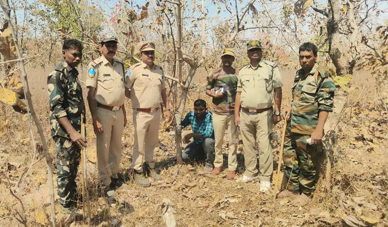 Arli (T) forests being developed to attract tigers in Adilabad district