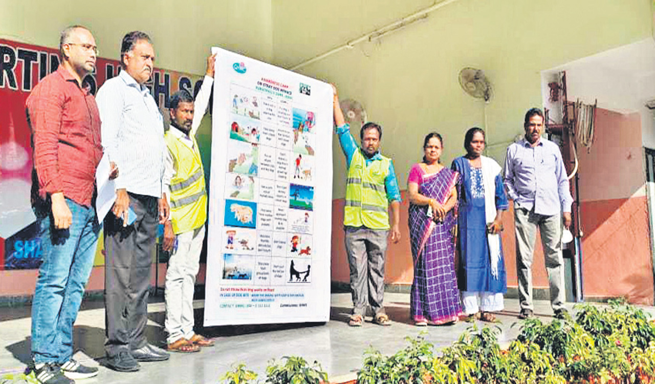 GHMC caught in dilemma on dog menace