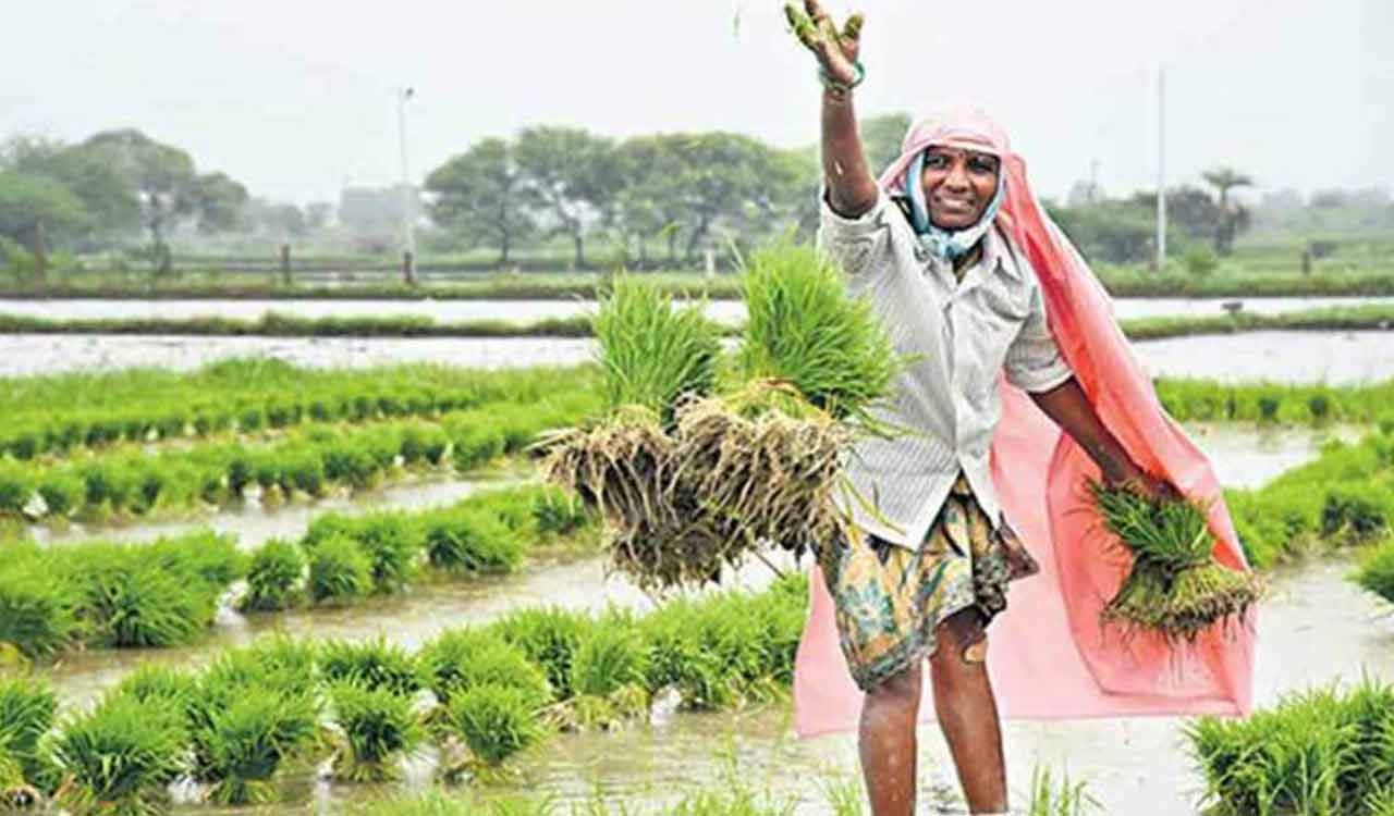 Telangana’s gross irrigated area goes up to 135 lakh acres