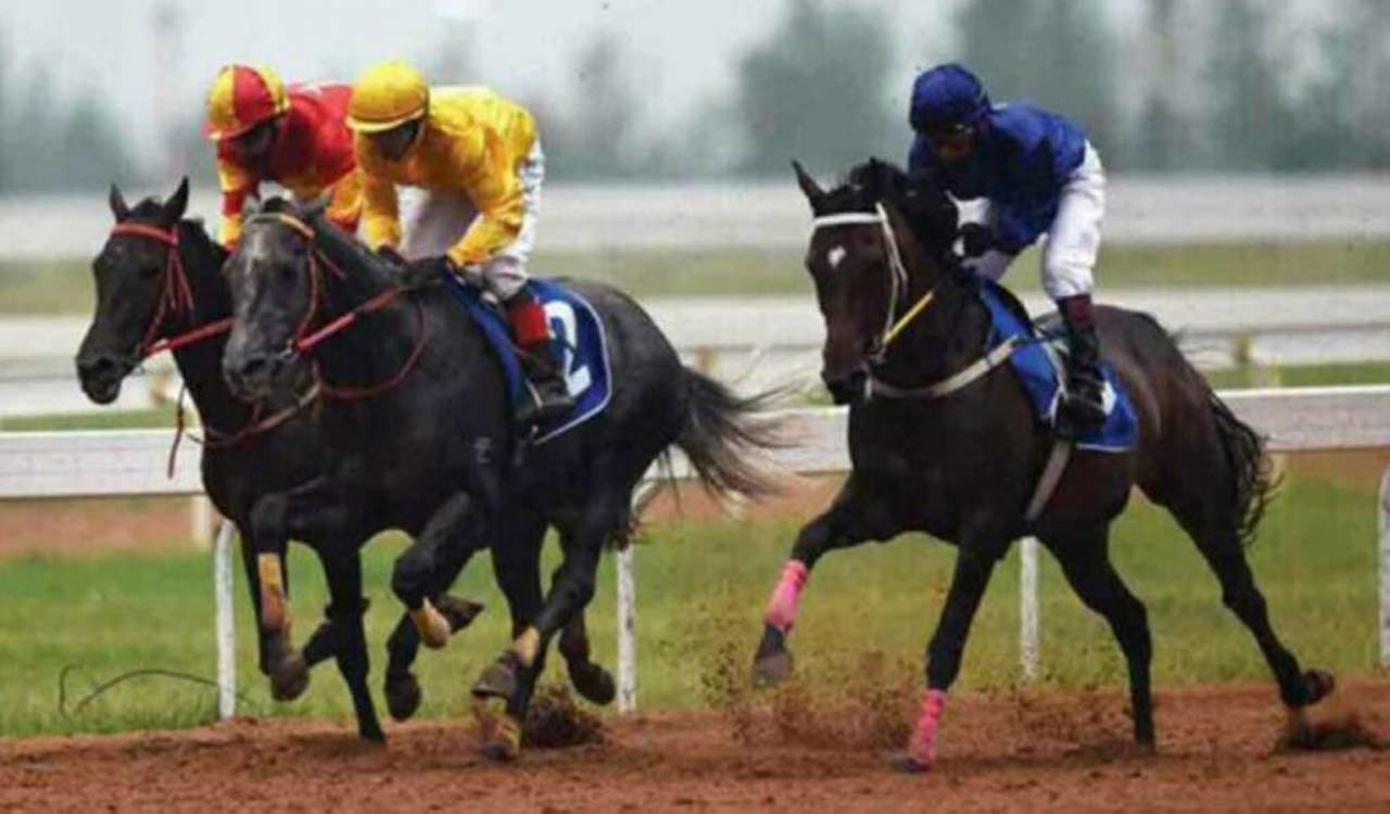 Horse Racing: Ashwa Tenjing fancied for Delhi feature