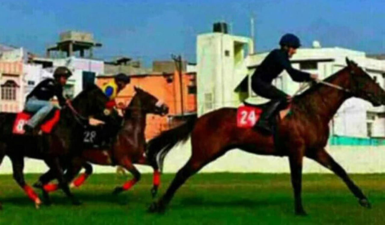 Horse Racing: Lucky Zone, Splendour On Grass shine in trials