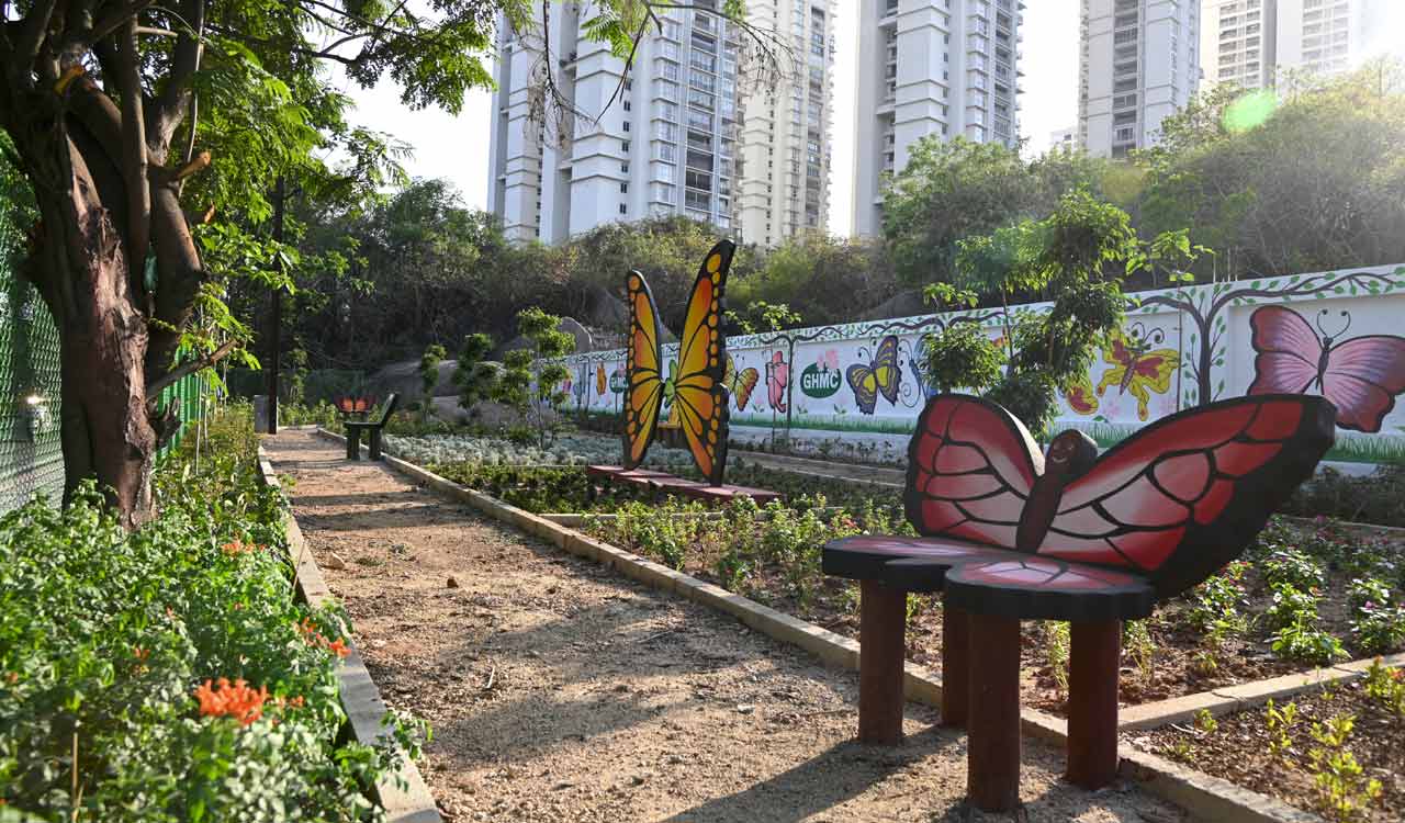 GHMC develops Butterfly Park at KPHB