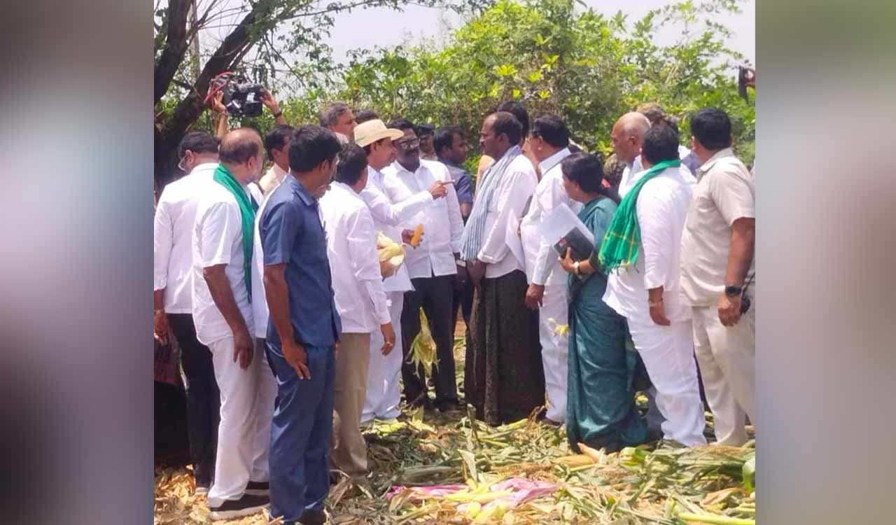 CM KCR starts aerial inspection of crop damage