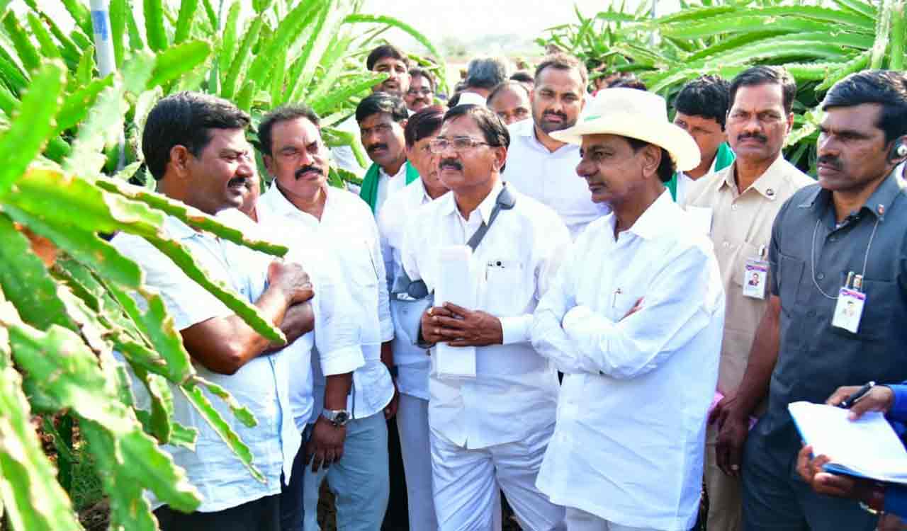 Karimnagar farmers get an audience with CM KCR