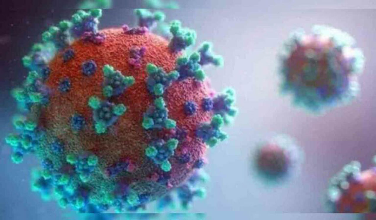 MOHFW urges Telangana Govt to take proactive measures for Covid-19