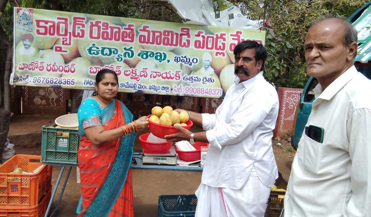 Carbide free mangoes mela attracts public in Khammam
