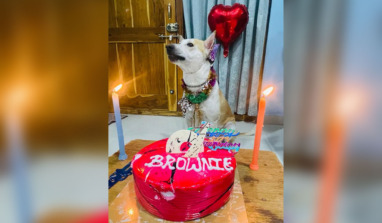 Adilabad teacher celebrates birthday of his dog on grand note