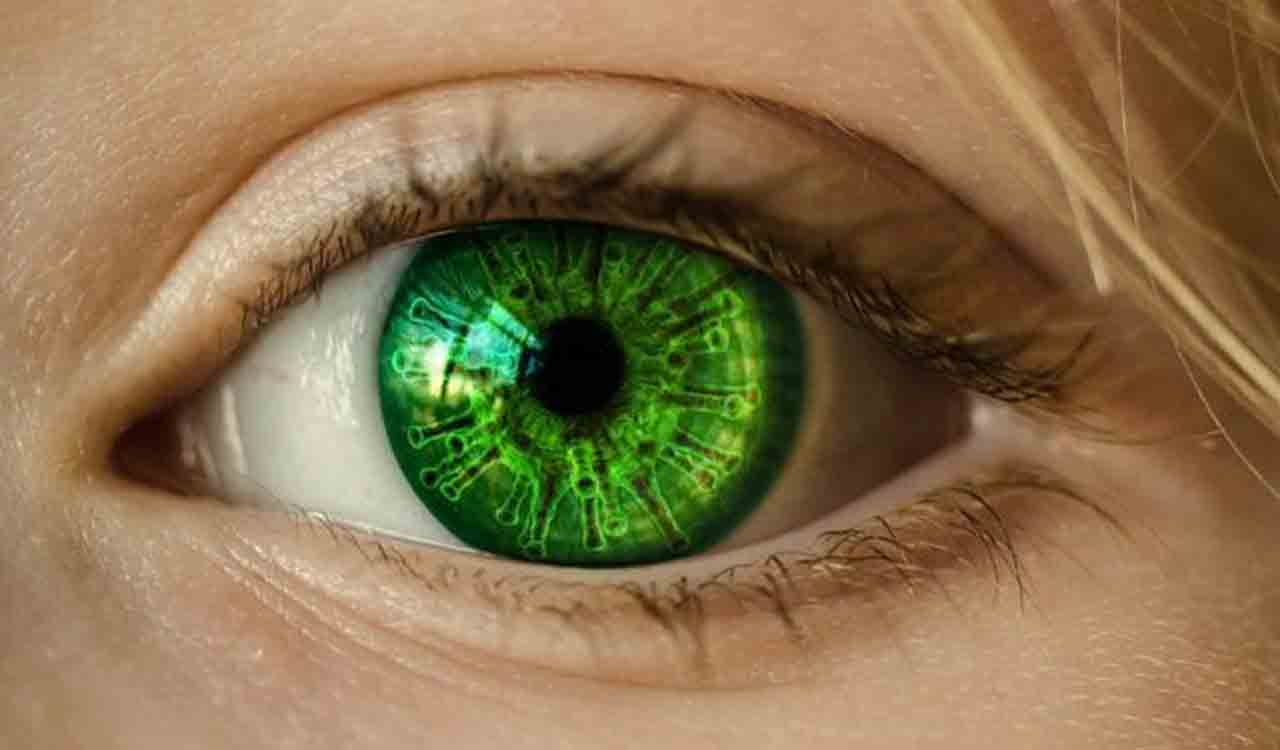 Ways To Improve Your Eye Health Naturally