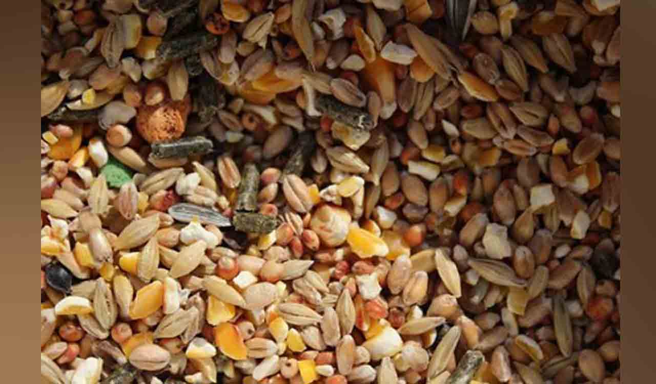 Prices of essential food items to remain stable during festive season: Food Secy Sanjeev Chopra