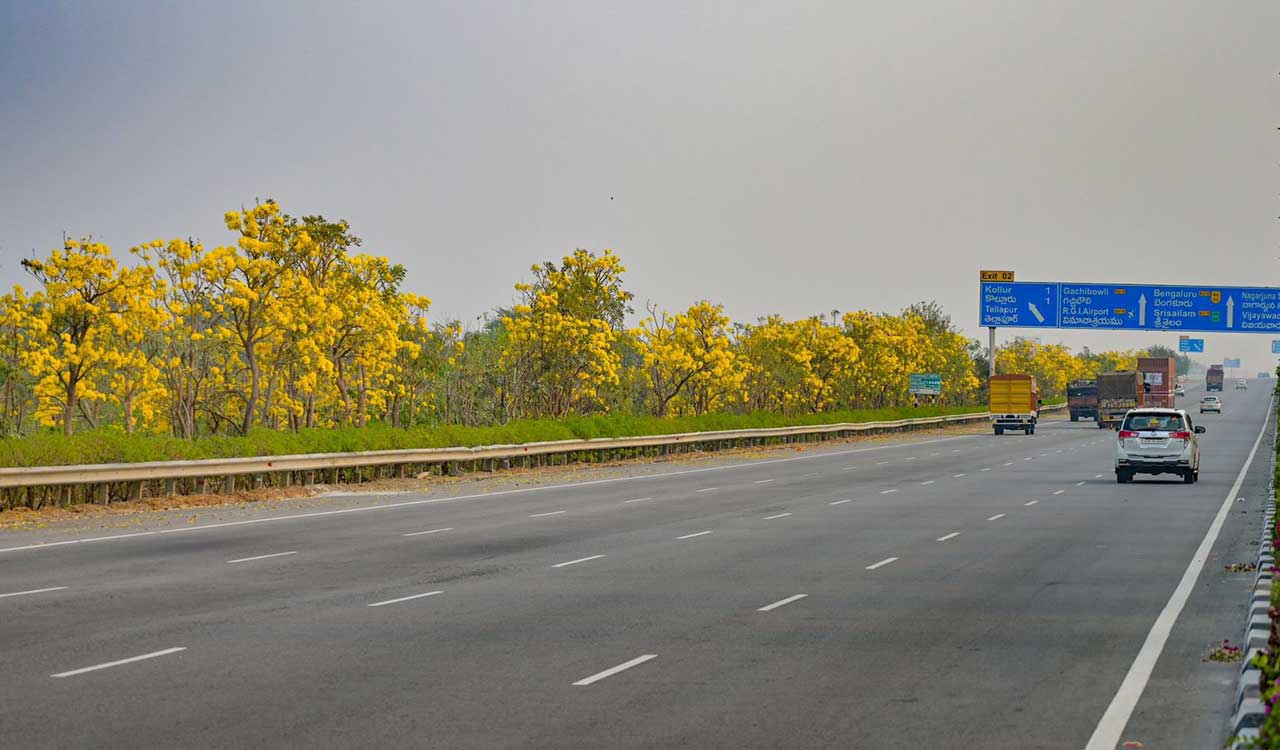 Hyderabad adorned with stunning golden blooms of Tree of Gold