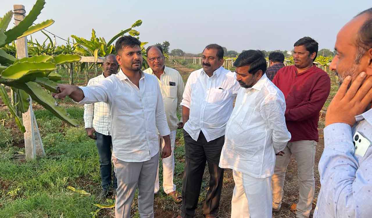 Jagadish Reddy visits dragon fruit farm in Sangareddy