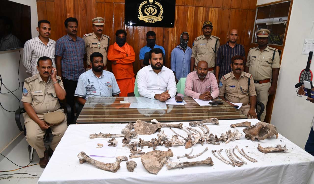 Three held for poaching tiger, trading nails in Mancherial