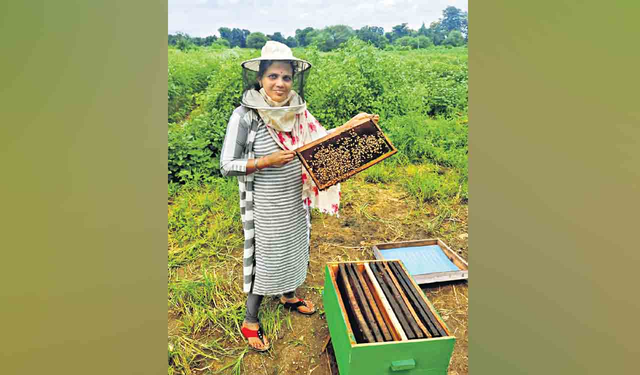 This woman from Mancherial is a busy bee!