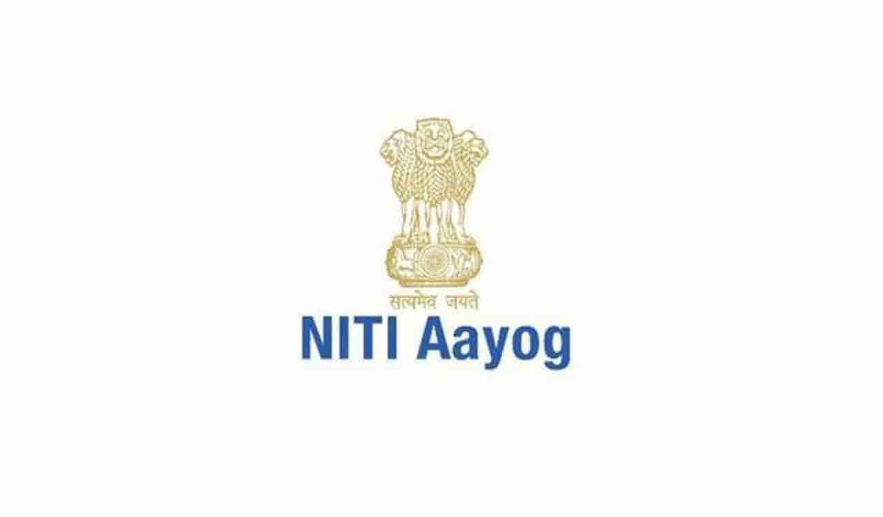 NITI Aayog panel pitches for capital assistance for gaushalas