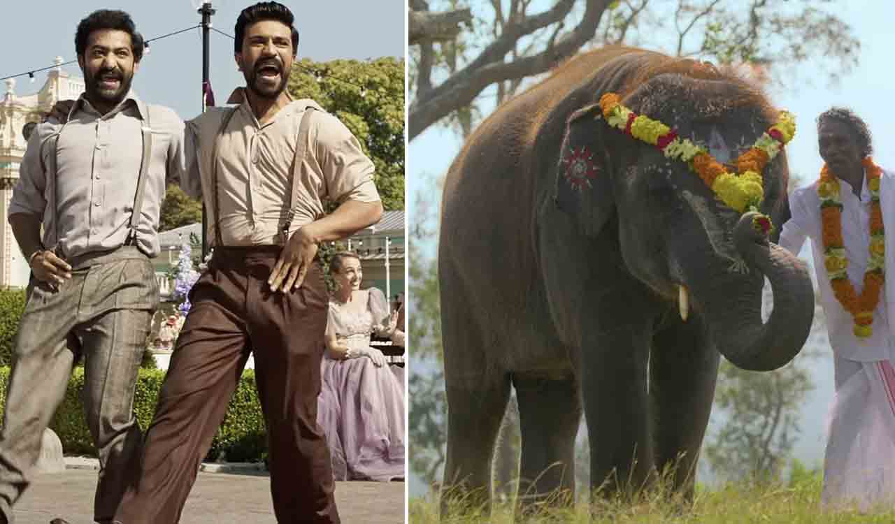Oscars 2023: What are Los Angeles punters betting on? ‘Naatu Naatu’ and ‘The Elephant Whisperers’