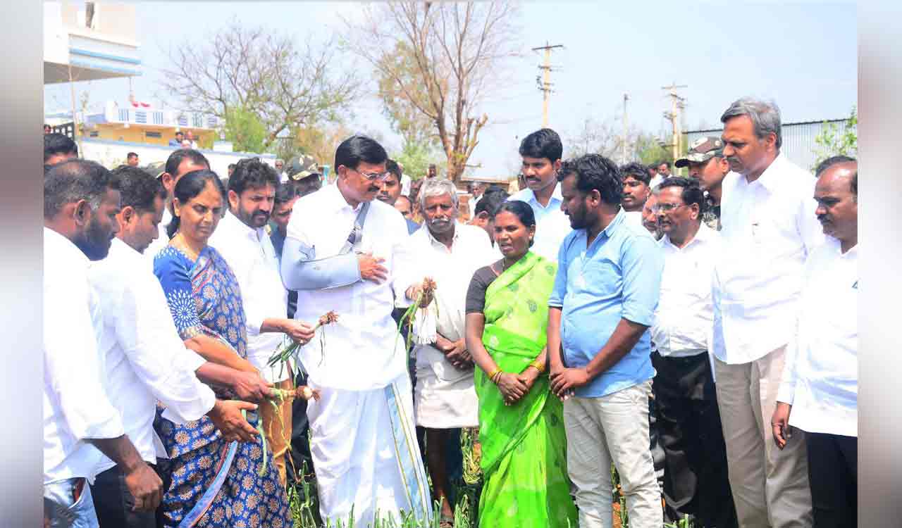 Telangana government will support farmers, assures Niranjan Reddy