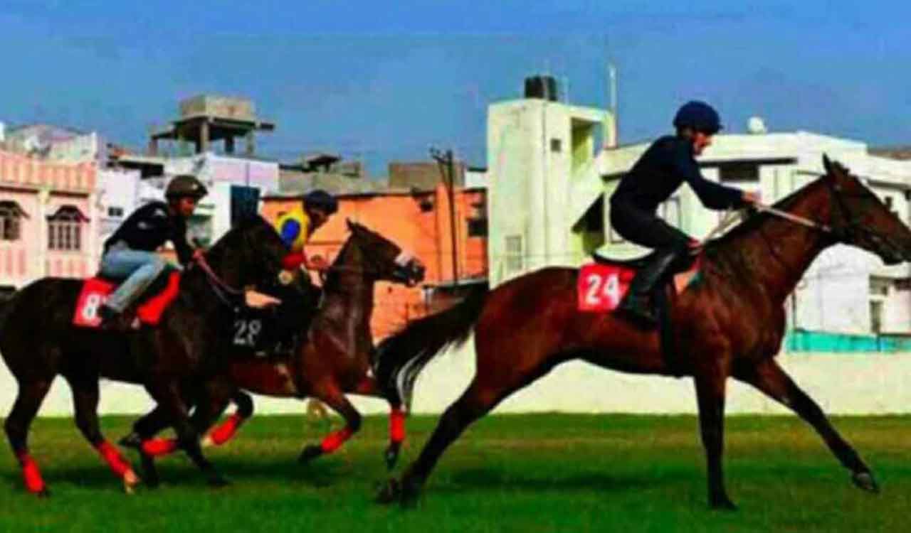 Horse Racing: Cape Tanaros fancied for Kolkata feature