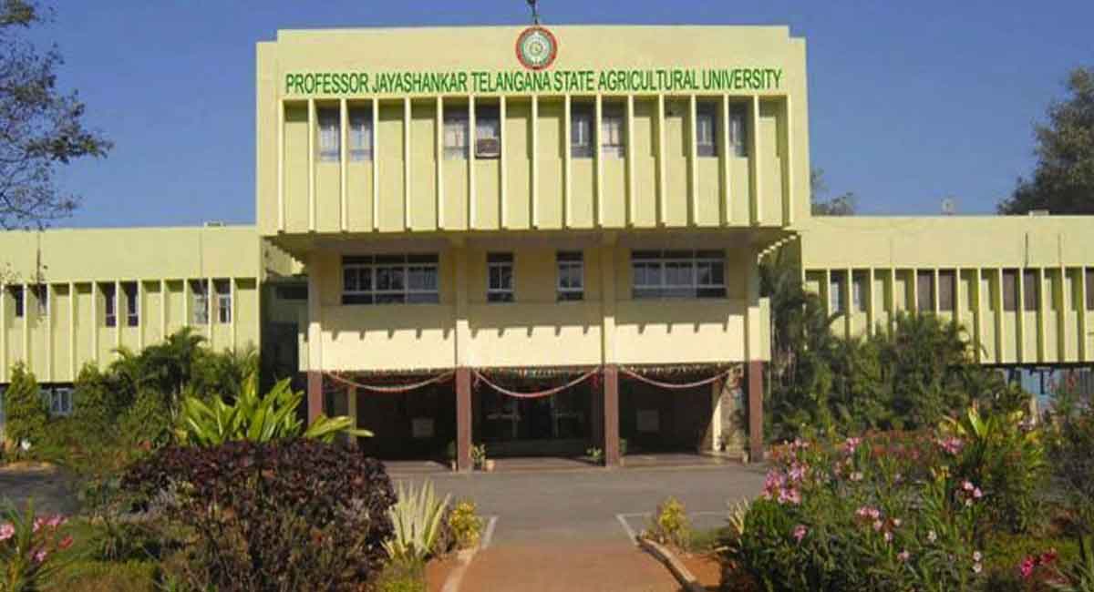 Telangana Agricultural University issues advisory for farmers