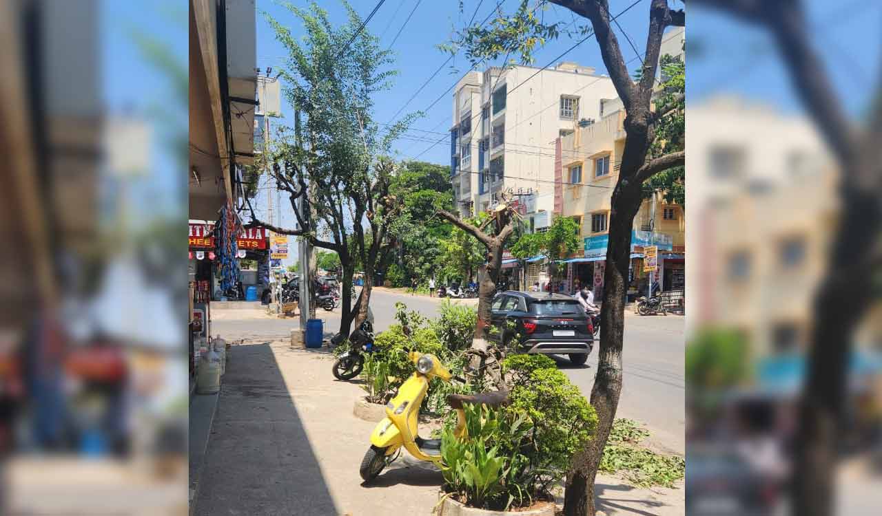 Sainikpuri: Lush canopies being mercilessly hacked by power department workers